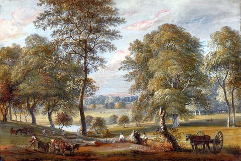 Foresters In Windsor Great Park