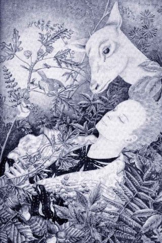 ftwhitedeer