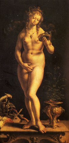 Gossaert Jan Venus And The Mirror