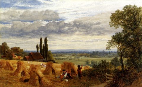 Harvesting Near Newark Priory Ripley Surrey