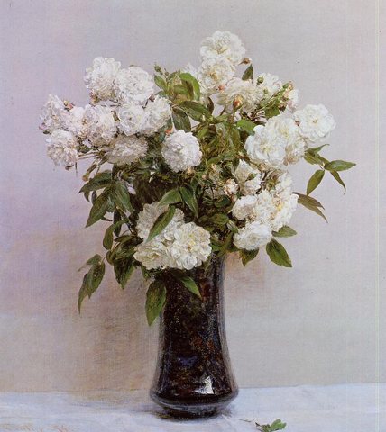 Henri Fairy Roses