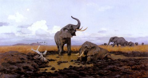 In The Twilgiht Elephants