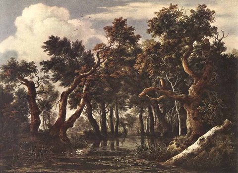 Jacob Isaackszon van The Marsh In A Forest