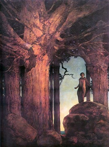 Jason and the Talking Oak