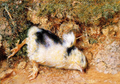 John Ruskin-s dead chick