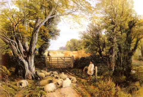 Landscape In Wales
