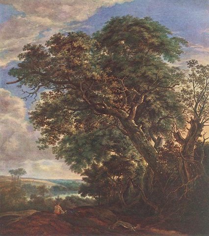 Landscape With River And Trees