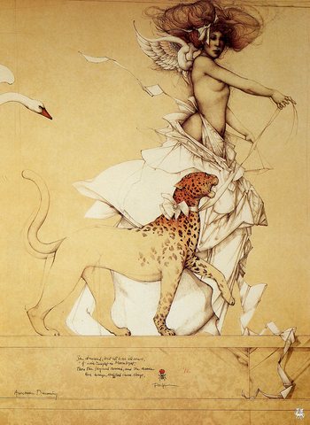 ma Parkes Auromira dreaming