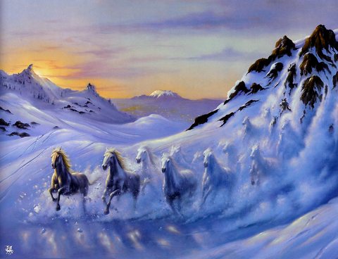 ma Warren Avalanche