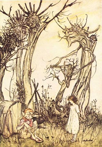 man in the wilderness