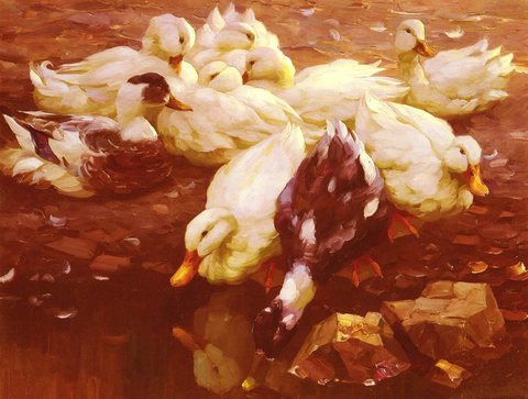 Max Enten Am Teich