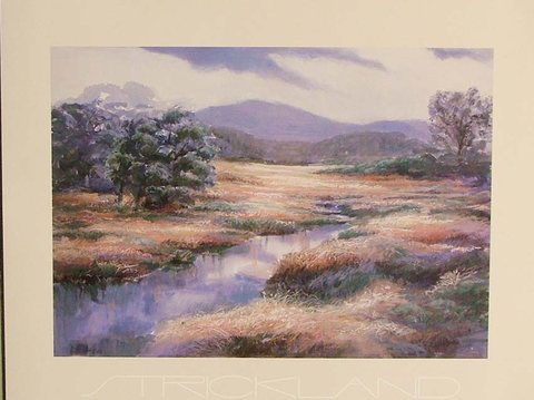meadows