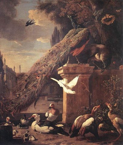Melchior d Peacocks And Ducks