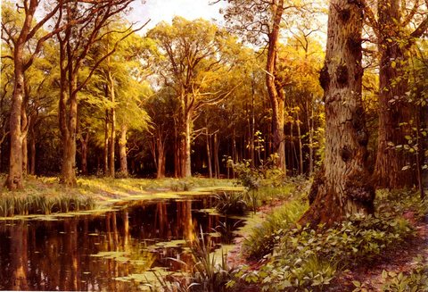 Monsted Peder Mork A Forest Stream