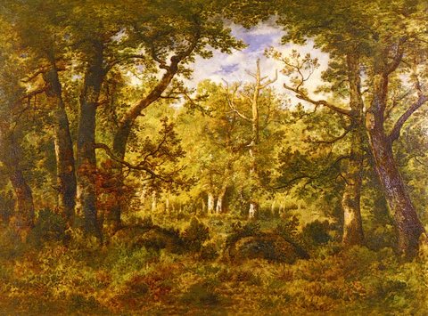 Narcisse Virgile Diaz De La A Sunlit Clearing In The Forest At Fontainbleau