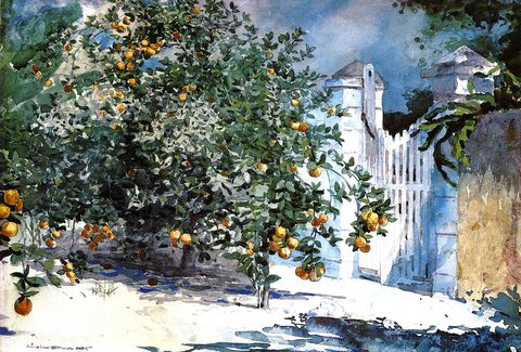 Orange Tree Nassau aka Orange Trees and Gate