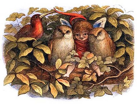owl and fairy