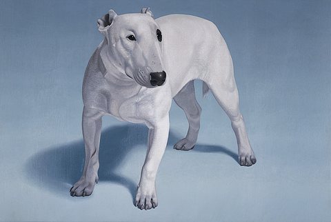 pitbull mattelson