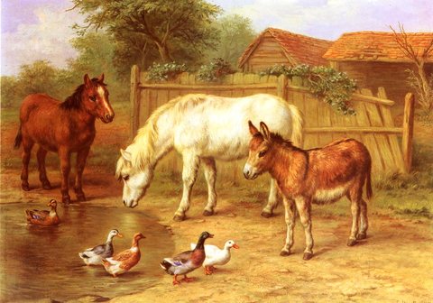 Ponies, Donky and Ducks In A Farmyard