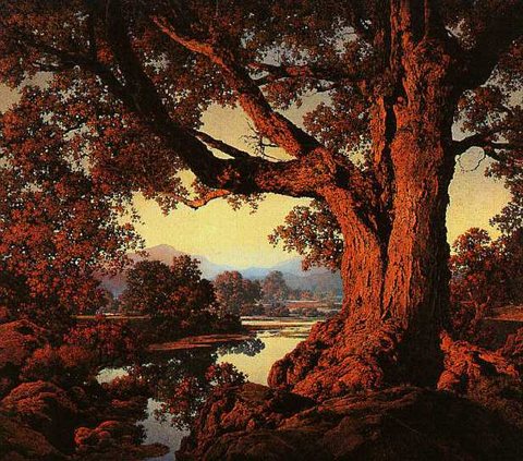 riverbank