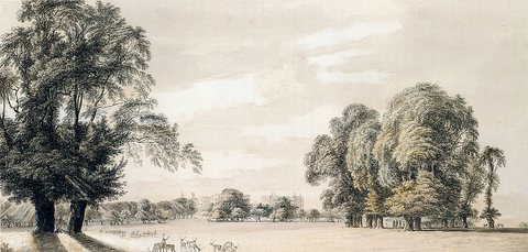 South East View Of Windsor Castle From The Park