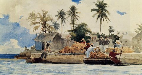 Sponge Fishing Nassau