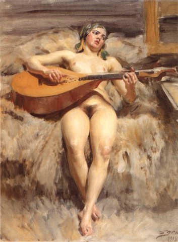 Studio idyll Zorn SZorn S
