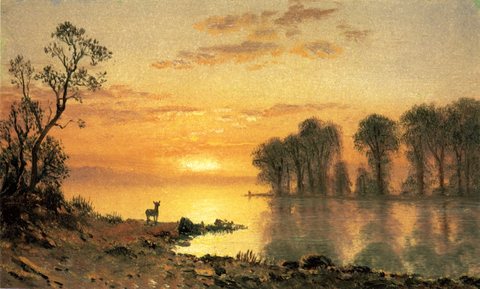 Sunset Deer and River