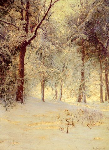 Sunshine After Snowstorm