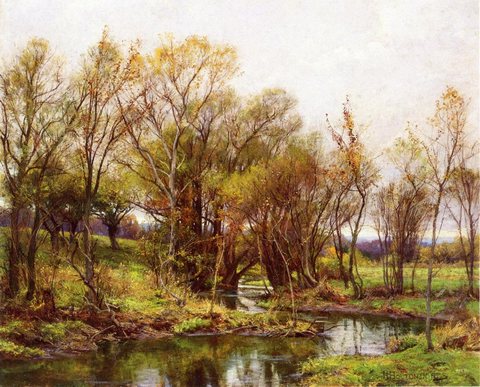 The Brook Morning