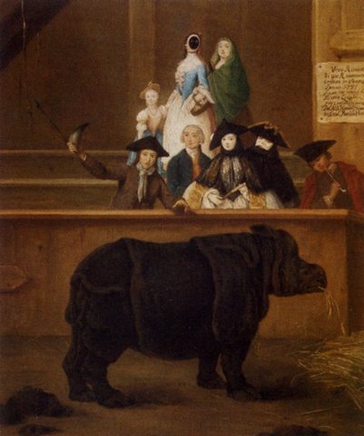 The Rhinoceros