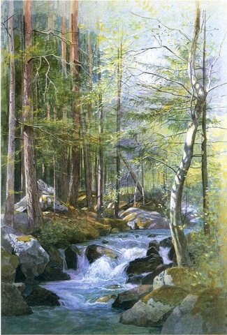 Torrent in Wood behind Mill Dam Vahrn near Brixen Tyrol