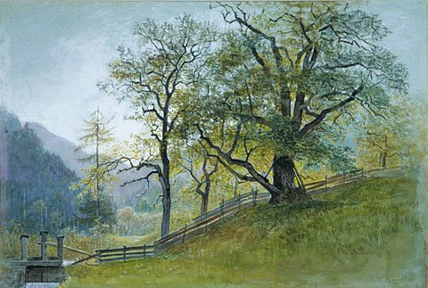 Vahm In Tyrol Near Brixen