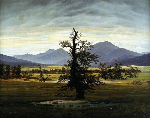 Village Landscape In Morning Light