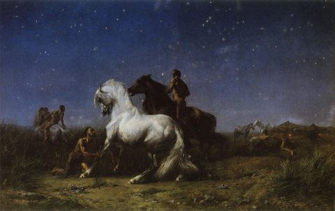 Voleurs De Nuit Sahara Algerien