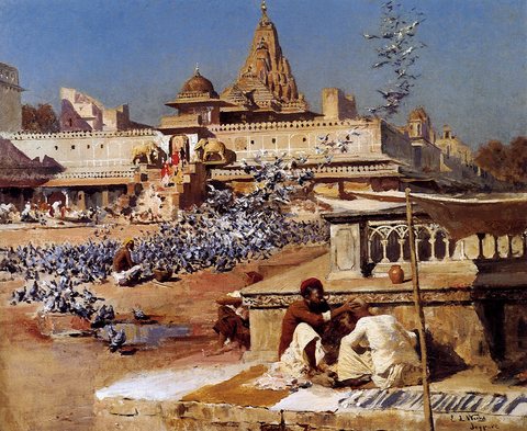 Weeks Edwin Feeding The Sacred Pigeons Jaipur