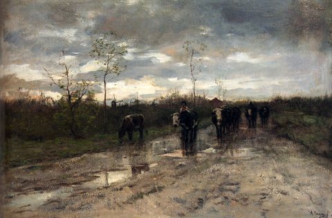 Weg Met Koeien Homeward Bound