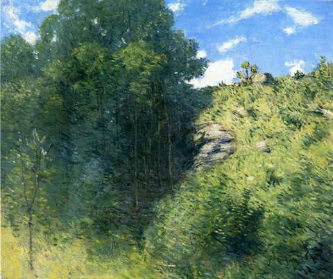 Weir Julian Alden Ravine near Branchville
