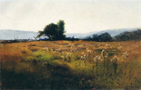 Willard L Mountain View from High Field