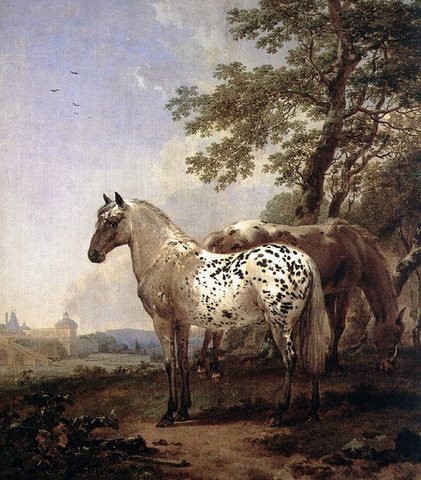 Horses