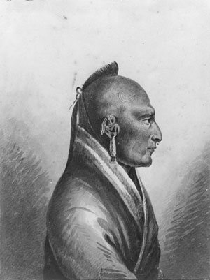 The Chief Of The Little Osages