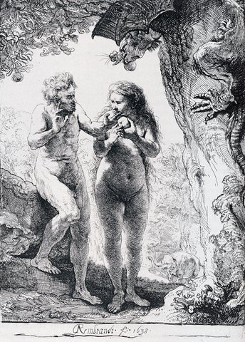 The Fall Of Man