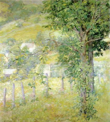 Lewis Hillside in Summer