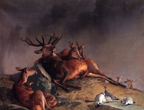 Edwin Henry The Highland Nurses