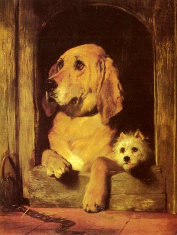Dignity And Impudence