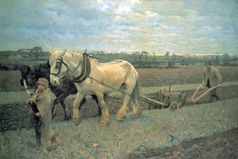 Ploughing