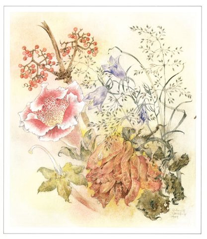 gloxinia
