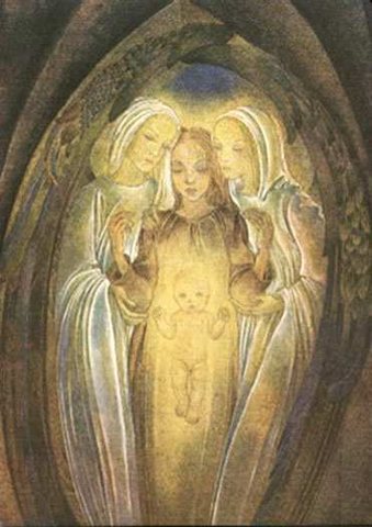 womb
