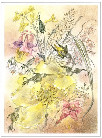 yellow rose