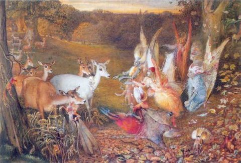 enchanted forest